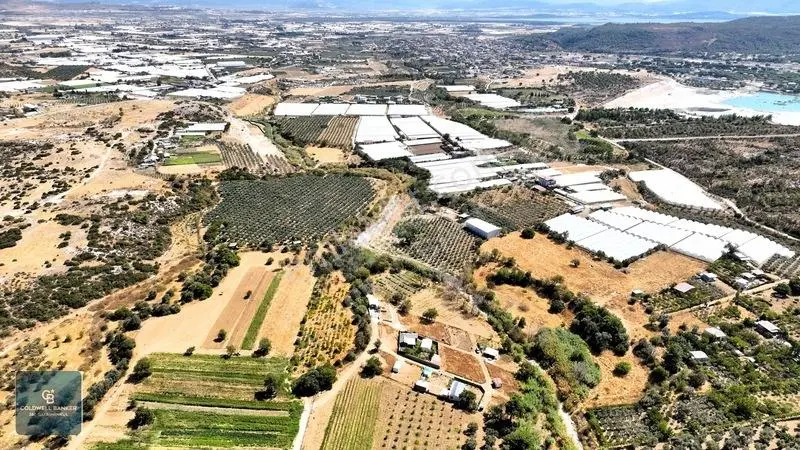 Menderes Dereköyde 397 M2 Konteyner Evli Satılık Tarla Hissesi — fotoğraf 18