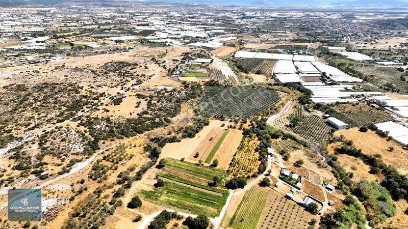 Menderes Dereköyde 397 M2 Konteyner Evli Satılık Tarla Hissesi — fotoğraf 19