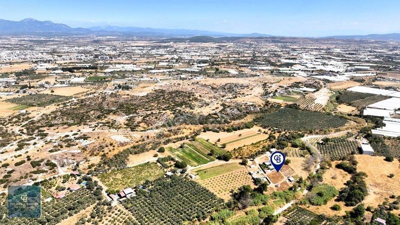 Menderes Dereköyde 397 M2 Konteyner Evli Satılık Tarla Hissesi — fotoğraf 22