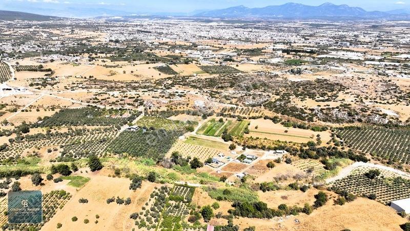 Menderes Dereköyde 397 M2 Konteyner Evli Satılık Tarla Hissesi — fotoğraf 29