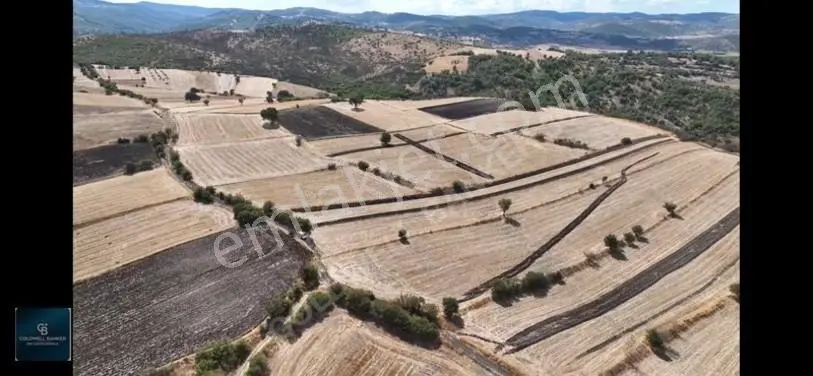 Balıkesir / Altıeylül / Cinge'de Satılık 6587 M² Tarla — fotoğraf 2