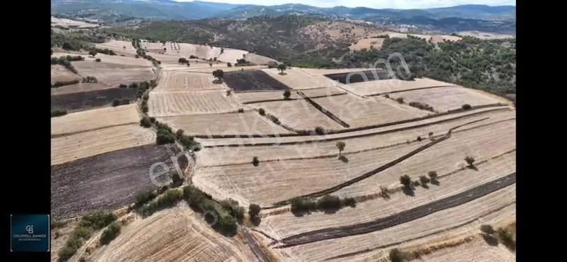 Balıkesir / Altıeylül / Cinge'de Satılık 6587 M² Tarla — fotoğraf 5