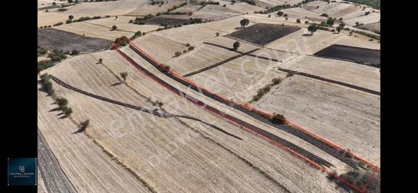 Balıkesir / Altıeylül / Cinge'de Satılık 6587 M² Tarla — fotoğraf 7
