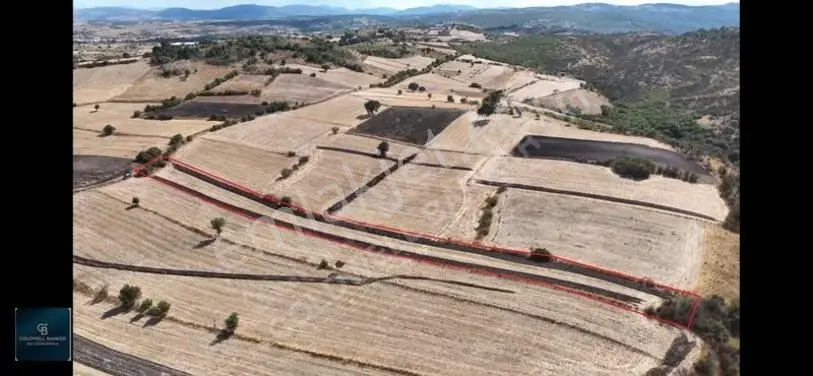 Balıkesir / Altıeylül / Cinge'de Satılık 6587 M² Tarla — fotoğraf 8