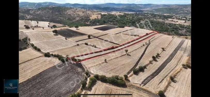 Balıkesir / Altıeylül / Cinge'de Satılık 6587 M² Tarla — fotoğraf 10