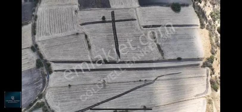 Balıkesir / Altıeylül / Cinge'de Satılık 6587 M² Tarla — fotoğraf 12