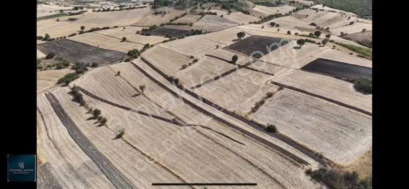 Balıkesir / Altıeylül / Cinge'de Satılık 6587 M² Tarla — fotoğraf 13
