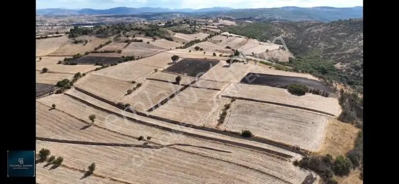 Balıkesir / Altıeylül / Cinge'de Satılık 6587 M² Tarla — fotoğraf 14