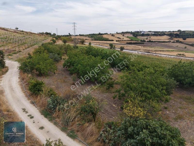 Balıkesir Cinge'de Köy İçi İmarlı Satılık 2984 M² Köşe Arsa — fotoğraf 12