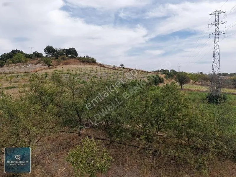 Balıkesir Cinge'de Köy İçi İmarlı Satılık 2984 M² Köşe Arsa — fotoğraf 14