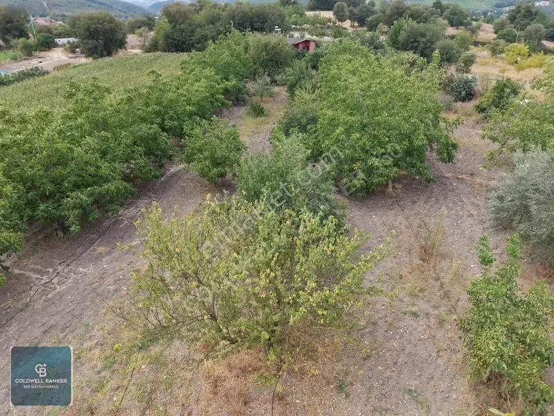 Balıkesir Cinge'de Köy İçi İmarlı Satılık 2984 M² Köşe Arsa — fotoğraf 15