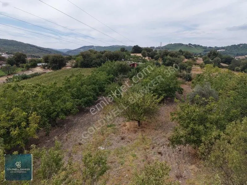 Balıkesir Cinge'de Köy İçi İmarlı Satılık 2984 M² Köşe Arsa — fotoğraf 16