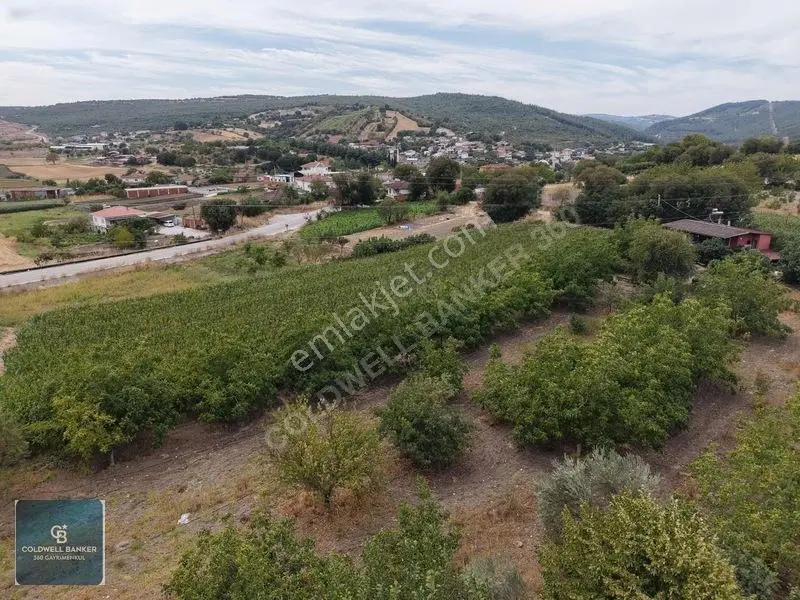 Balıkesir Cinge'de Köy İçi İmarlı Satılık 2984 M² Köşe Arsa — fotoğraf 18
