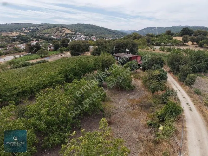 Balıkesir Cinge'de Köy İçi İmarlı Satılık 2984 M² Köşe Arsa — fotoğraf 19