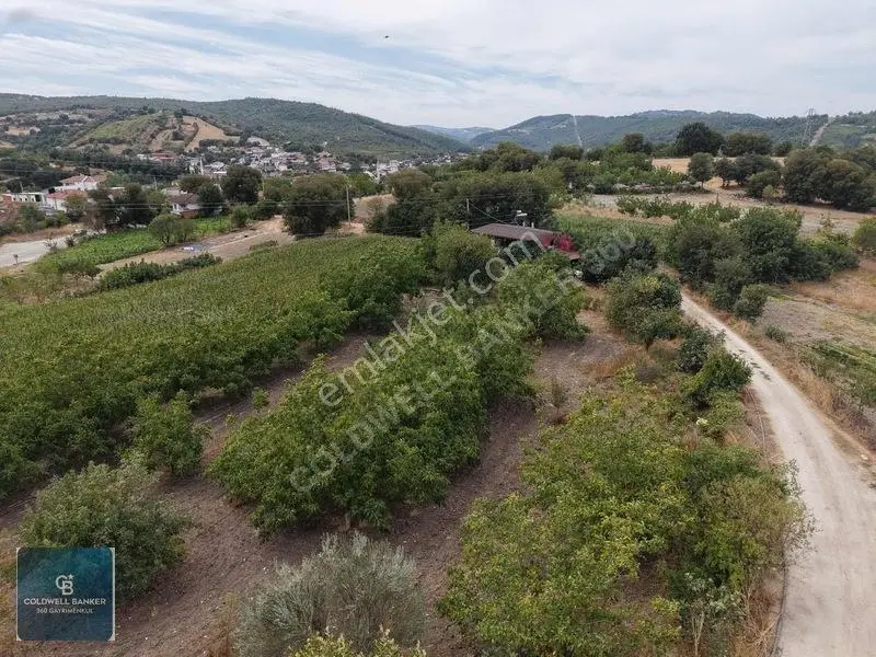 Balıkesir Cinge'de Köy İçi İmarlı Satılık 2984 M² Köşe Arsa — fotoğraf 20