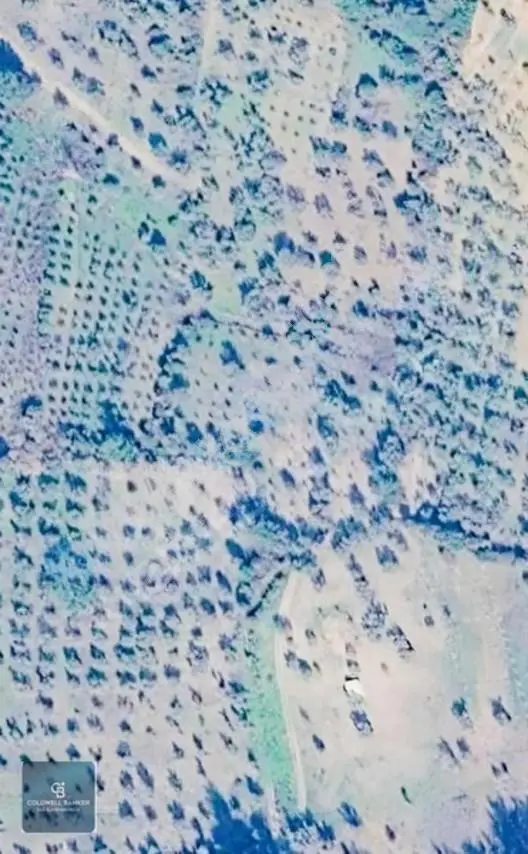Torbalı Demirci'de 4458 M2 Tek Tapulu Yatırımlık Tarla