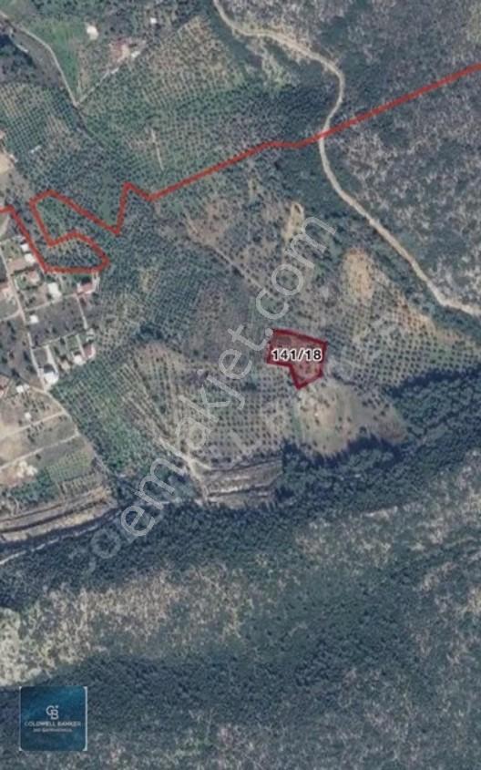 Torbalı Demirci'de 4458 M2 Tek Tapulu Yatırımlık Tarla — fotoğraf 2