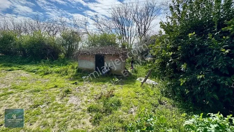 4.466.02 M2 Selçuk-kuşadası Yoluna Cepheli Mandalina Bahçesi — fotoğraf 2