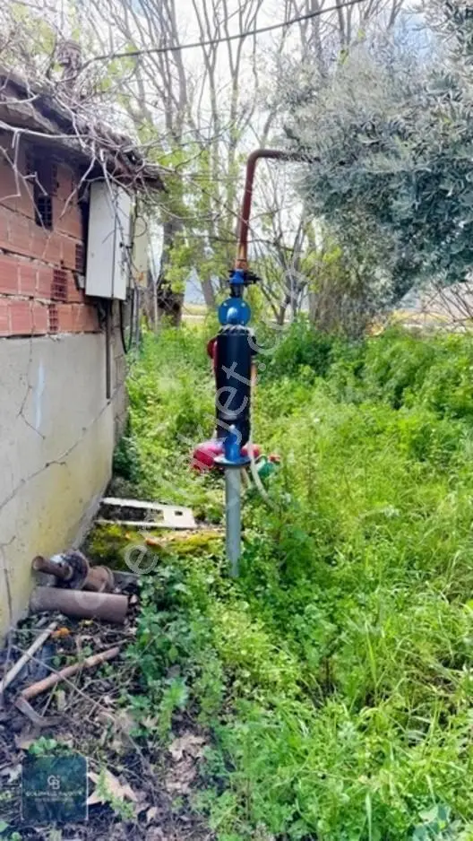 4.466.02 M2 Selçuk-kuşadası Yoluna Cepheli Mandalina Bahçesi — fotoğraf 3