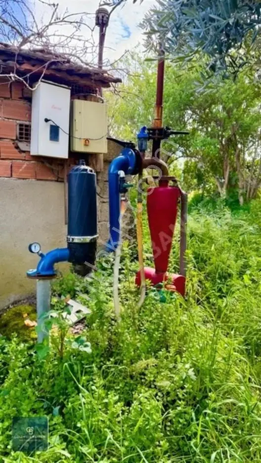 4.466.02 M2 Selçuk-kuşadası Yoluna Cepheli Mandalina Bahçesi — fotoğraf 4