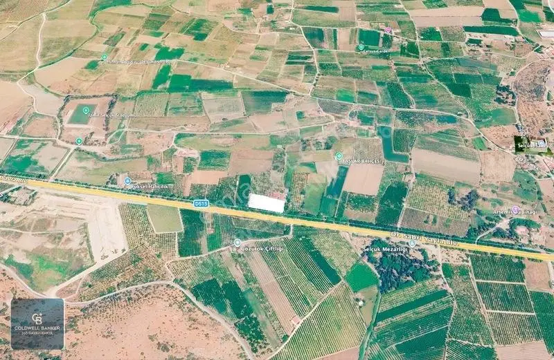 4.466.02 M2 Selçuk-kuşadası Yoluna Cepheli Mandalina Bahçesi — fotoğraf 5