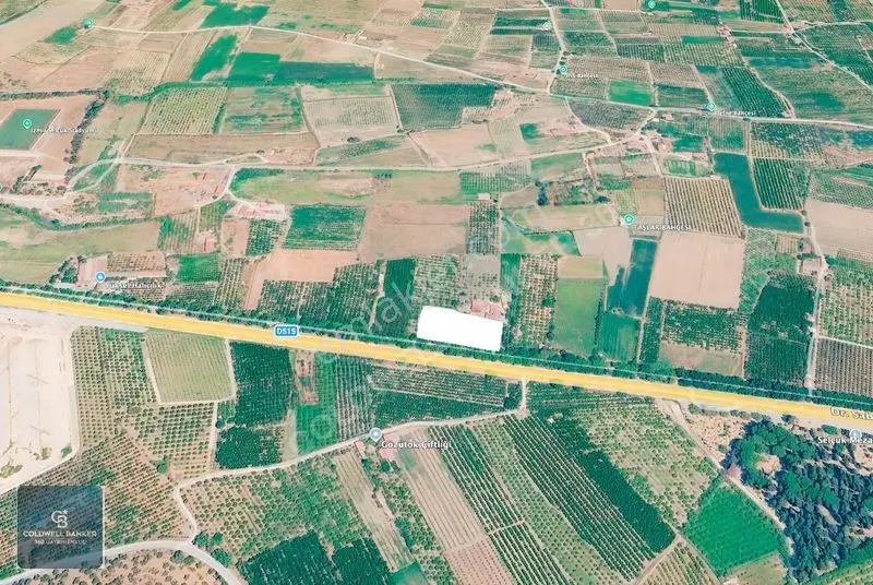 4.466.02 M2 Selçuk-kuşadası Yoluna Cepheli Mandalina Bahçesi — fotoğraf 6