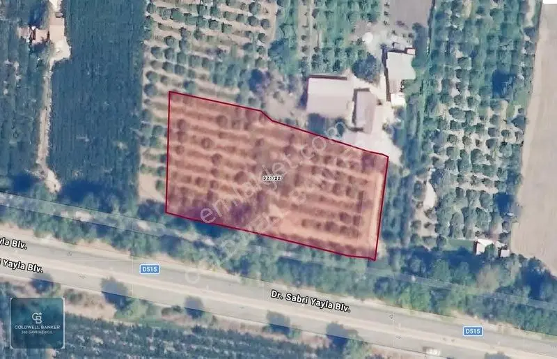 4.466.02 M2 Selçuk-kuşadası Yoluna Cepheli Mandalina Bahçesi — fotoğraf 8