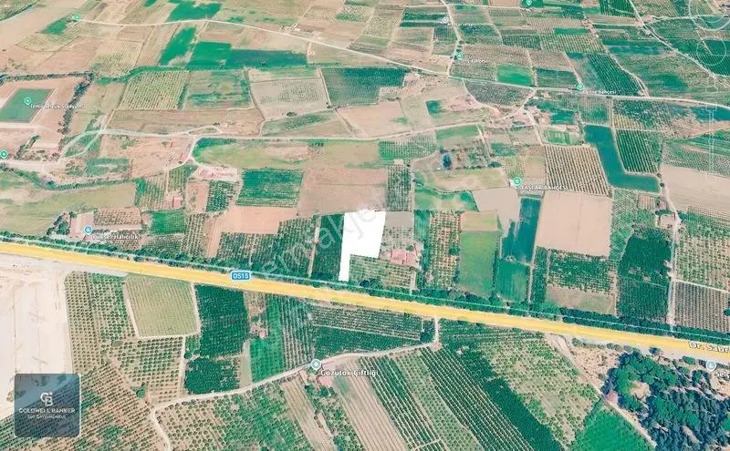 5511 M2 Selçuk-kuşadası Yoluna Cepheli Mandalina Bahçesi — fotoğraf 2