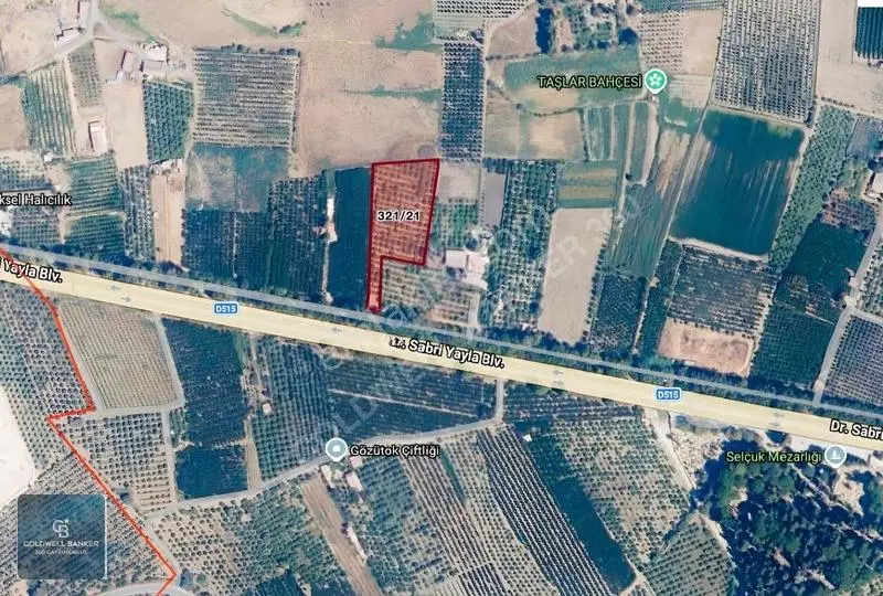 5511 M2 Selçuk-kuşadası Yoluna Cepheli Mandalina Bahçesi — fotoğraf 5