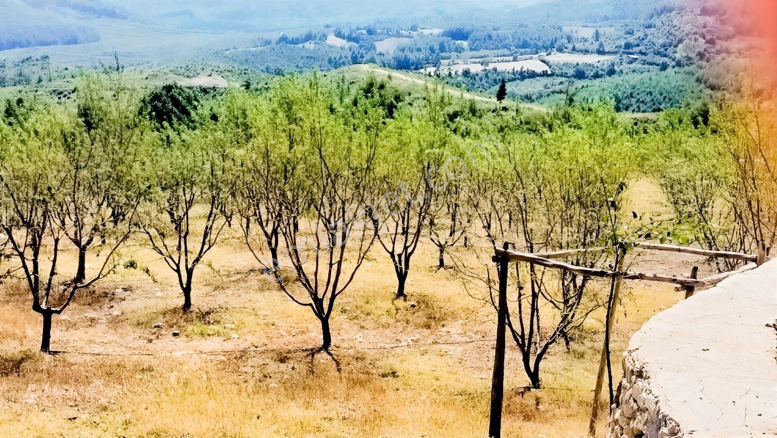 Karabucak'ta Satılık Muhteşem Badem Bahçesi + 2 Katlı Ev — fotoğraf 2
