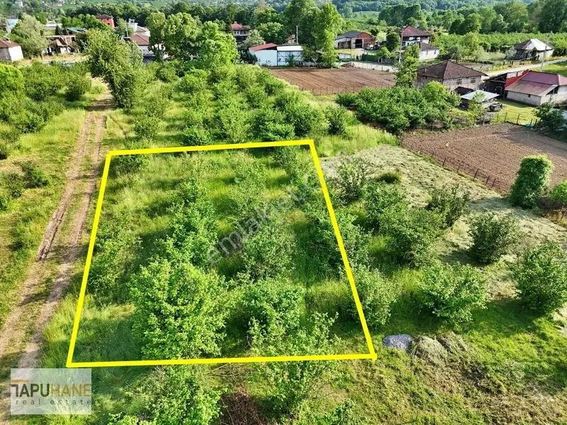 Tapuhaneden Aşagı Çalıca Köy Merkezinde 450 M2 İmarlı Arsa — fotoğraf 2