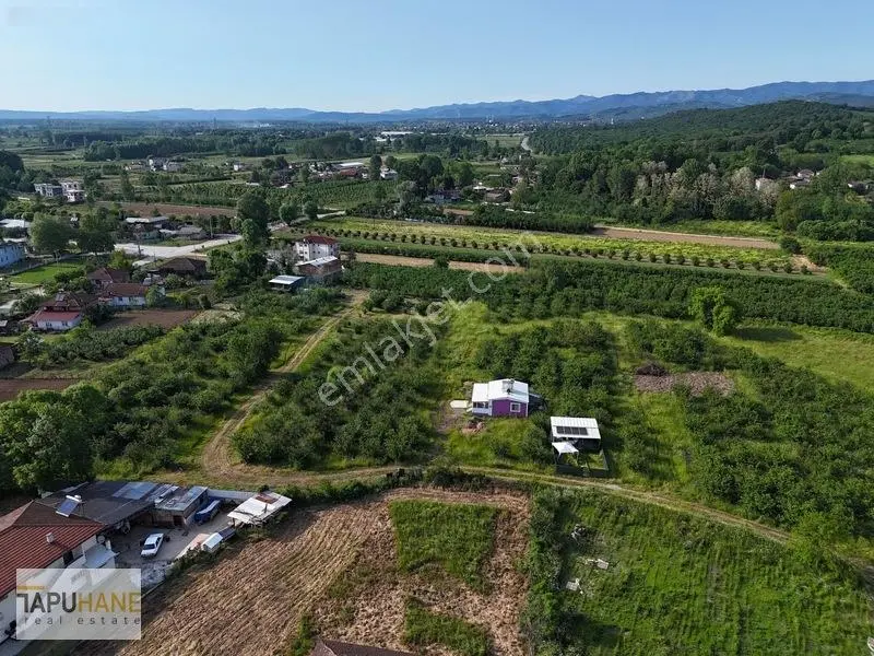 Tapuhaneden Aşagı Çalıca Köy Merkezinde 450 M2 İmarlı Arsa — fotoğraf 4