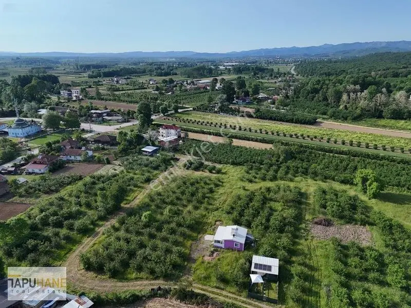 Tapuhaneden Aşagı Çalıca Köy Merkezinde 450 M2 İmarlı Arsa — fotoğraf 5