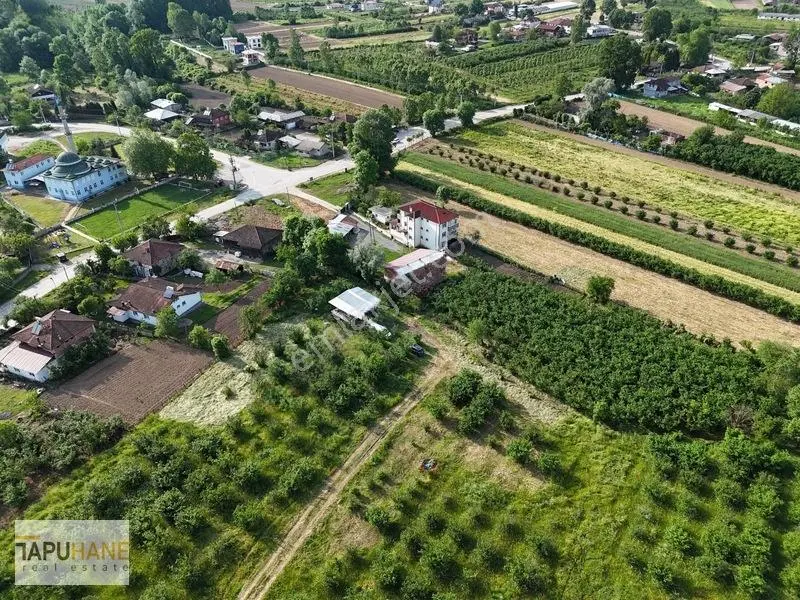 Tapuhaneden Aşagı Çalıca Köy Merkezinde 450 M2 İmarlı Arsa — fotoğraf 6