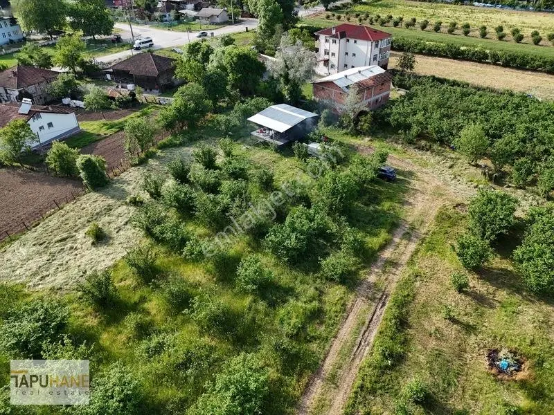 Tapuhaneden Aşagı Çalıca Köy Merkezinde 450 M2 İmarlı Arsa — fotoğraf 11