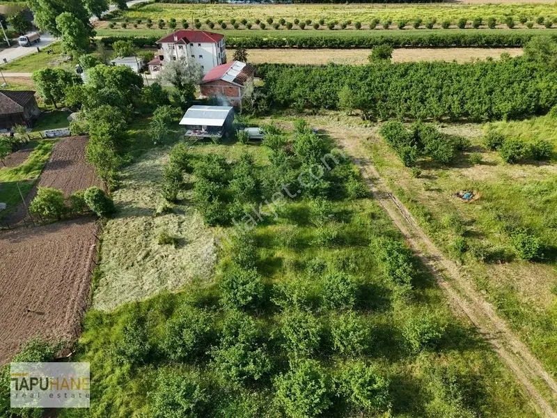 Tapuhaneden Aşagı Çalıca Köy Merkezinde 450 M2 İmarlı Arsa — fotoğraf 12