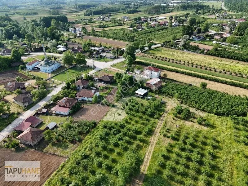 Tapuhaneden Aşagı Çalıca Köy Merkezinde 450 M2 İmarlı Arsa — fotoğraf 13