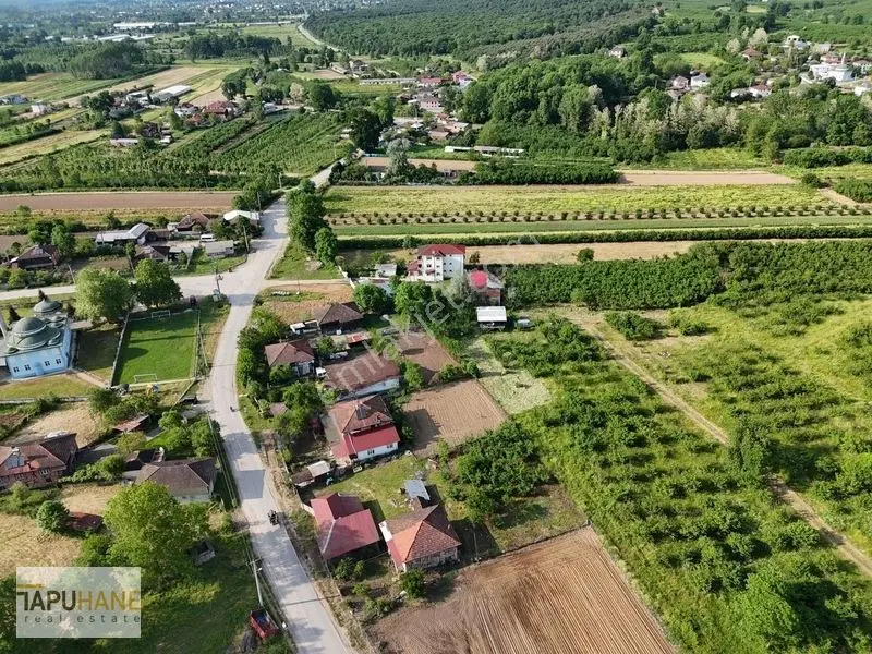Tapuhaneden Aşagı Çalıca Köy Merkezinde 450 M2 İmarlı Arsa — fotoğraf 14