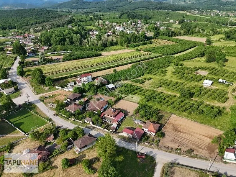 Tapuhaneden Aşagı Çalıca Köy Merkezinde 450 M2 İmarlı Arsa — fotoğraf 16