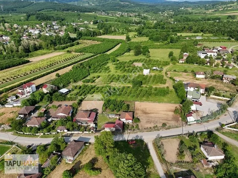 Tapuhaneden Aşagı Çalıca Köy Merkezinde 450 M2 İmarlı Arsa — fotoğraf 17