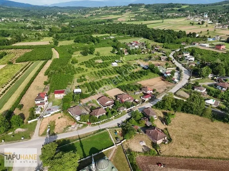 Tapuhaneden Aşagı Çalıca Köy Merkezinde 450 M2 İmarlı Arsa — fotoğraf 18