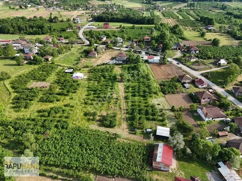 Tapuhaneden Aşagı Çalıca Köy Merkezinde 450 M2 İmarlı Arsa — fotoğraf 20