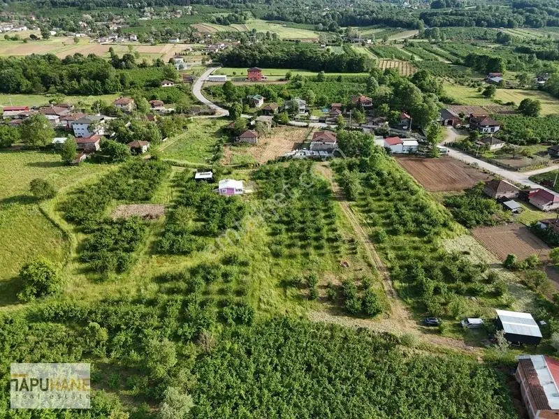 Tapuhaneden Aşagı Çalıca Köy Merkezinde 450 M2 İmarlı Arsa — fotoğraf 21
