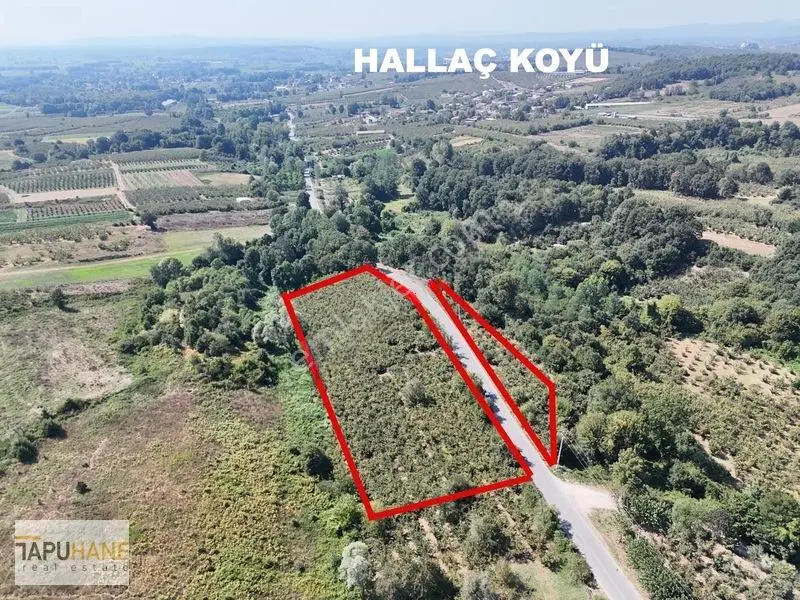 Tapuhane Den Satılık Asfalt Kenarı Hayvancılıga Uygun Fındıklık — fotoğraf 17