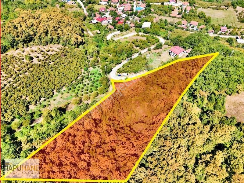 Tapuhane'Den Akyazı'Da 8.265M2 Satılık Fırsat Tarla