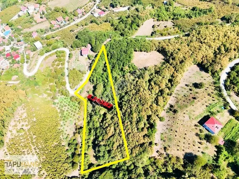 Tapuhane'den Akyazı'da 8.265m2 Satılık Fırsat Tarla — fotoğraf 2