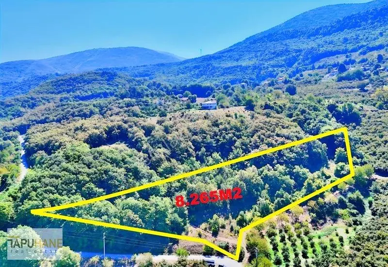 Tapuhane'den Akyazı'da 8.265m2 Satılık Fırsat Tarla — fotoğraf 4