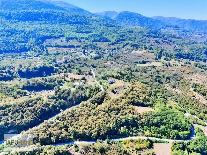 Tapuhane'den Akyazı'da 8.265m2 Satılık Fırsat Tarla — fotoğraf 5