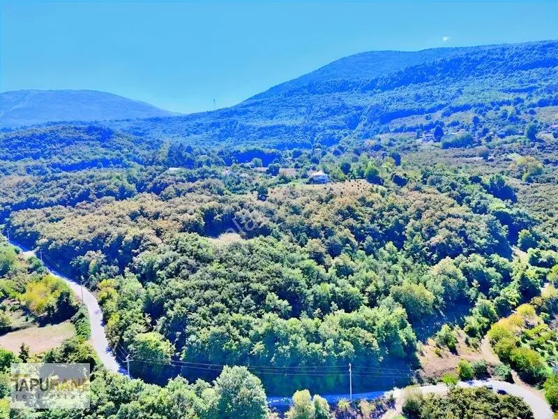 Tapuhane'den Akyazı'da 8.265m2 Satılık Fırsat Tarla — fotoğraf 6