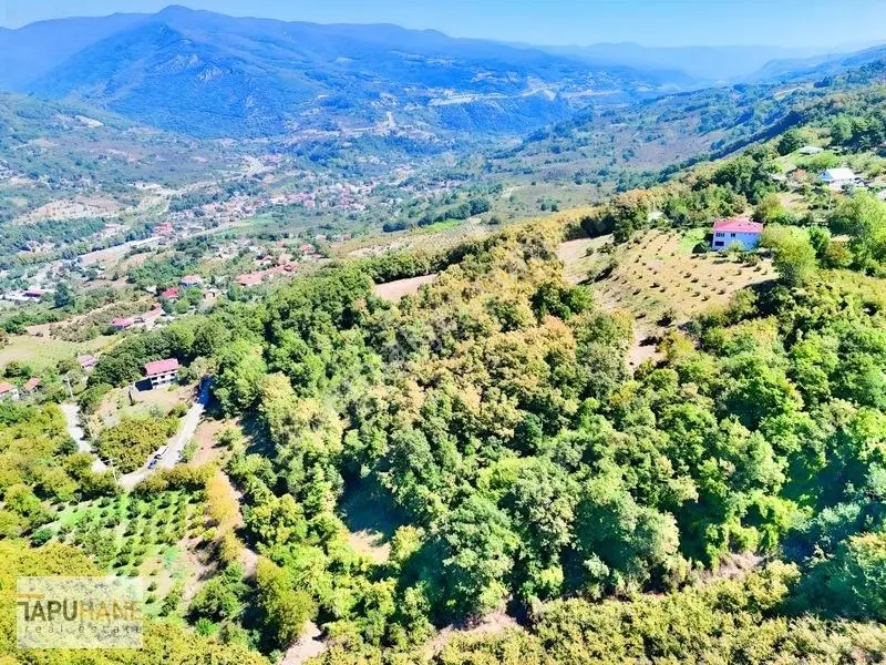 Tapuhane'den Akyazı'da 8.265m2 Satılık Fırsat Tarla — fotoğraf 9